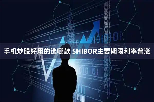 手机炒股好用的选哪款 SHIBOR主要期限利率普涨